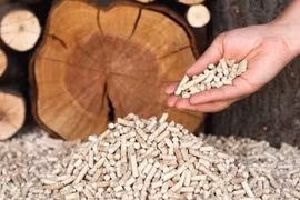 Xuất khẩu viên nén gỗ đạt gần 600 triệu USD 