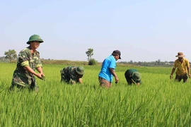 Lực lượng vũ trang Gia Lai hướng mạnh về cơ sở 