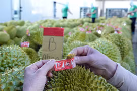 Sầu riêng rớt giá, kéo xuất khẩu rau quả tháng 4 bất ngờ giảm