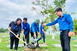 Chiến dịch Thanh niên tình nguyện hè 2024: Hướng về cộng đồng