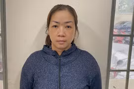 Phá đường dây mua bán trẻ sơ sinh ở TPHCM