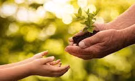 Sức mạnh của lòng bao dung và vị tha 