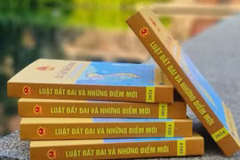 Chính phủ thông qua đề nghị sớm đưa Luật Đất đai 2024 vào cuộc sống