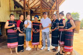 Phát triển hệ sinh thái khởi nghiệp, đổi mới sáng tạo bền vững