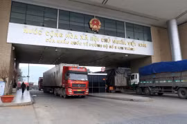 Xuất khẩu trên 225 tấn sầu riêng sang Trung Quốc qua Cửa khẩu Lào Cai