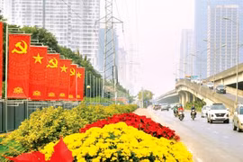 Vượt gió chướng tin tưởng đón xuân