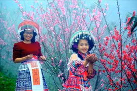 Hoa đào trong ngày Tết cổ truyền của người Việt