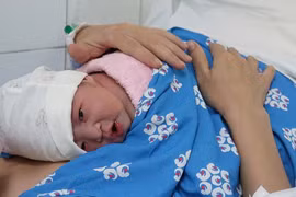 Rộn ràng đón 'rồng con' dễ thương ngày đầu năm Giáp Thìn 2024