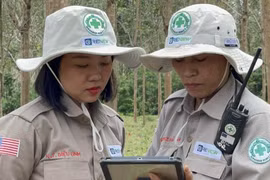 'Bông hồng thép' Diệu Linh