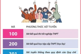 20 phương thức xét tuyển đại học ngành giáo dục mầm non năm 2024 