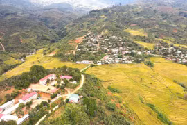 Dưới chân núi Ngọc Linh