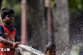 Nắng nóng cực đoan thiêu đốt Ấn Độ khiến gần 100 người chết: Vì đâu nên nỗi?