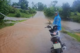 Ẩn họa từ các ngầm, đập tràn trong mùa mưa lũ