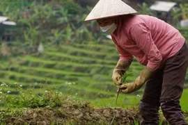 Tự giác… thoát nghèo