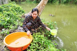 Tập trung bảo đảm cấp nước sinh hoạt cho người dân Đồng bằng sông Cửu Long