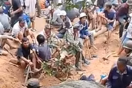 Người dân ở Phú Yên trúng kỳ nam 10 tỉ đồng là tin đồn thất thiệt