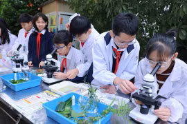 Nâng cao chất lượng các bài học STEM