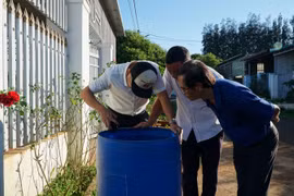 Đắk Lắk phát hiện trường hợp đầu tiên mắc viêm não Nhật Bản 