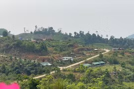 Án mạng ở Quảng Ngãi: Thiếu nữ bị chém chết khi đang ngủ cùng bạn 