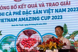 Có 71 mẫu cà phê đạt Chứng nhận cà phê đặc sản Việt Nam năm 2023