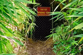 Phát hiện 3 người chết trong hầm khai thác vàng