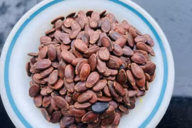 5 lợi ích ít người biết của hạt dưa hấu