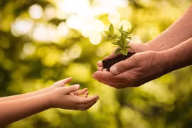 Đặt niềm tin đúng chỗ 