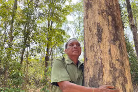 Báu vật của người J’rai