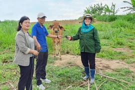 Niềm vui thoát nghèo