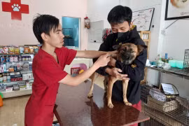 Gia Lai: 9/17 địa phương bố trí kinh phí phòng-chống dịch bệnh động vật năm 2024