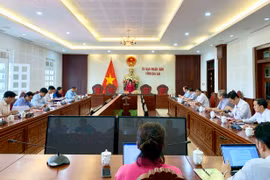 Phó Chủ tịch UBND tỉnh Nguyễn Thị Thanh Lịch: Đảm bảo thuốc, vật tư y tế, làm tốt công tác chăm sóc sức khỏe người dân