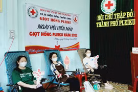 Ngày hội hiến máu tình nguyện “Giọt hồng Pleiku” thu về 113 đơn vị máu