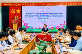 Hội đồng Nhân dân tỉnh giám sát đấu thầu, cung ứng thuốc tại Bệnh viện Đa khoa Gia Lai