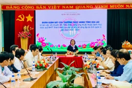 Hội đồng Nhân dân tỉnh giám sát đấu thầu, cung ứng thuốc tại Bệnh viện Đa khoa Gia Lai