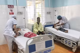 Gia Lai: 1 người tử vong do ngộ độc thịt cóc