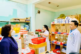 Hội đồng nhân dân tỉnh Gia Lai giám sát đấu thầu, cung ứng thuốc tại các bệnh viện