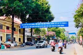 Gia Lai đẩy mạnh truyền thông phòng-chống sốt rét