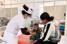 Gia Lai: 69/220 xã, phường, thị trấn có ca mắc sốt xuất huyết