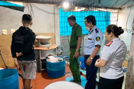 Gia Lai: Đoàn kiểm tra liên ngành an toàn thực phẩm xử phạt vi phạm hành chính 122 cơ sở 