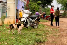 Gia Lai: 1 cháu bé tử vong do bệnh dại