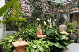 An An Spa-Nơi bình yên giữa lòng phố núi