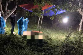 Chư Pưh: Phát hiện thi thể một phụ nữ trong vườn điều