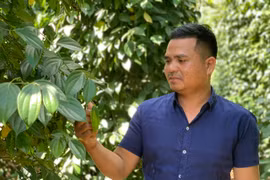 Những hộ gia đình Jrai vượt khó, vươn lên làm giàu ở Ia Mơ Nông