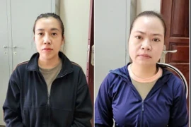 Gia Lai: Thuê 2 ô tô tự lái, làm giả giấy tờ đem cầm cố