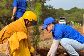 Đoàn thanh niên phường Ia Kring trồng 1.000 cây thông 3 lá