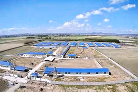 Chấp thuận chủ trương đầu tư trang trại chăn nuôi heo nái tại xã Hbông