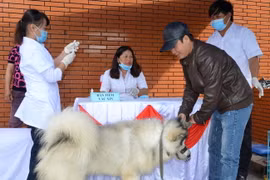 Tăng cường phòng-chống dịch bệnh động vật