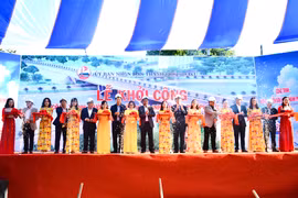 Đề nghị bổ sung giá đất đường Nguyễn Văn Linh (TP. Pleiku)