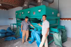 Hỗ trợ tuyển dụng cán bộ trẻ tốt nghiệp cao đẳng, đại học về làm việc tại hợp tác xã