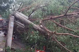 Mưa đá, mưa to kèm gió lốc cây xanh gãy, đổ đè bẹp 4 xe máy 